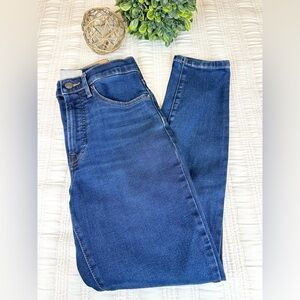 Everlane High-Rise Skinny Ankle Jeans Size 26
